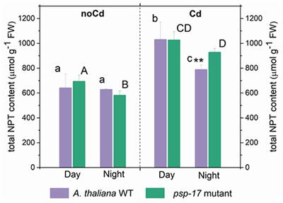 Corrigendum: Knock-Down of the Phosphoserine Phosphatase Gene Effects Rather N- Than S-Metabolism in Arabidopsis thaliana